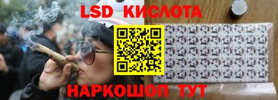 индика Краснознаменск