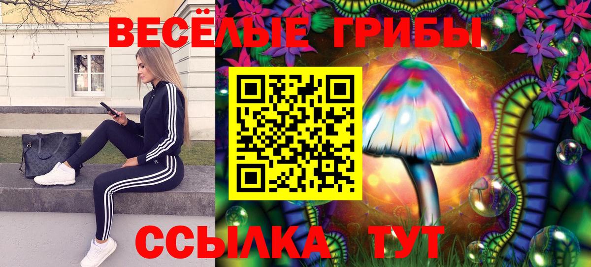 Галлюциногенные грибы MAGIC MUSHROOMS  Вход с VPN  Чусовой 